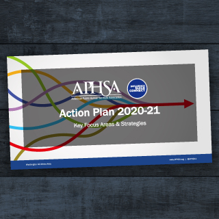 Illuminating Our Way Forward: 2020 Action Plan
